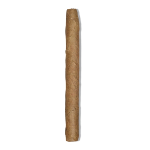 zigarren-de-olifant-classic-corona-panatella-cigarre24-210-87998-n01 De Olifant Classic Corona Panatella, 10er
