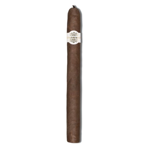 58661 Alonso Menendez No. 10