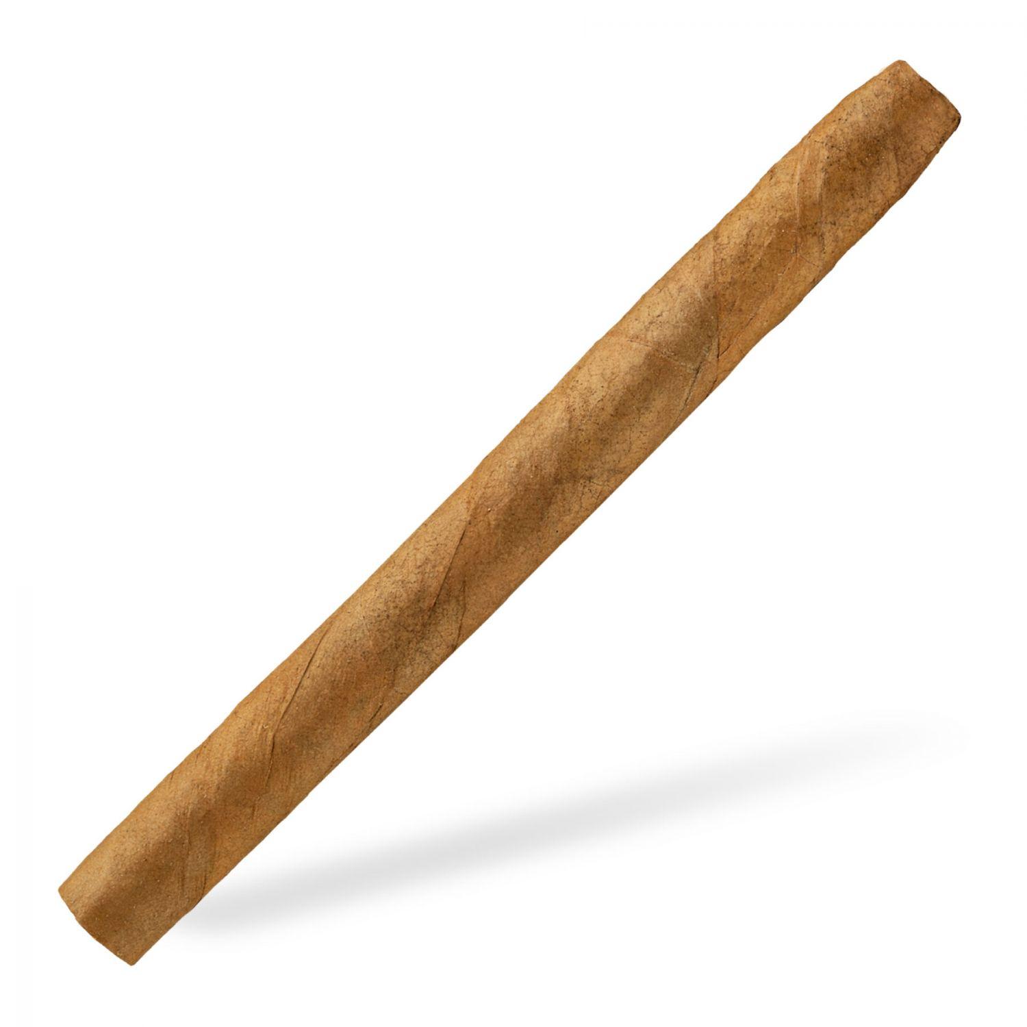 C01-012 Lepanto 722 Senorita Caribic 25er