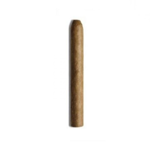 61612_house_of_smoke_commander_sumatra House of Smoke Commander Sumatra, 10er