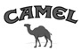 Camel Camel
