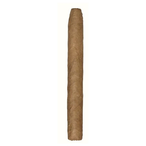 zigarren-de-olifant-classic-corona-20er-cigarre24-210-87999-n01 De Olifant Classic Corona, 20er