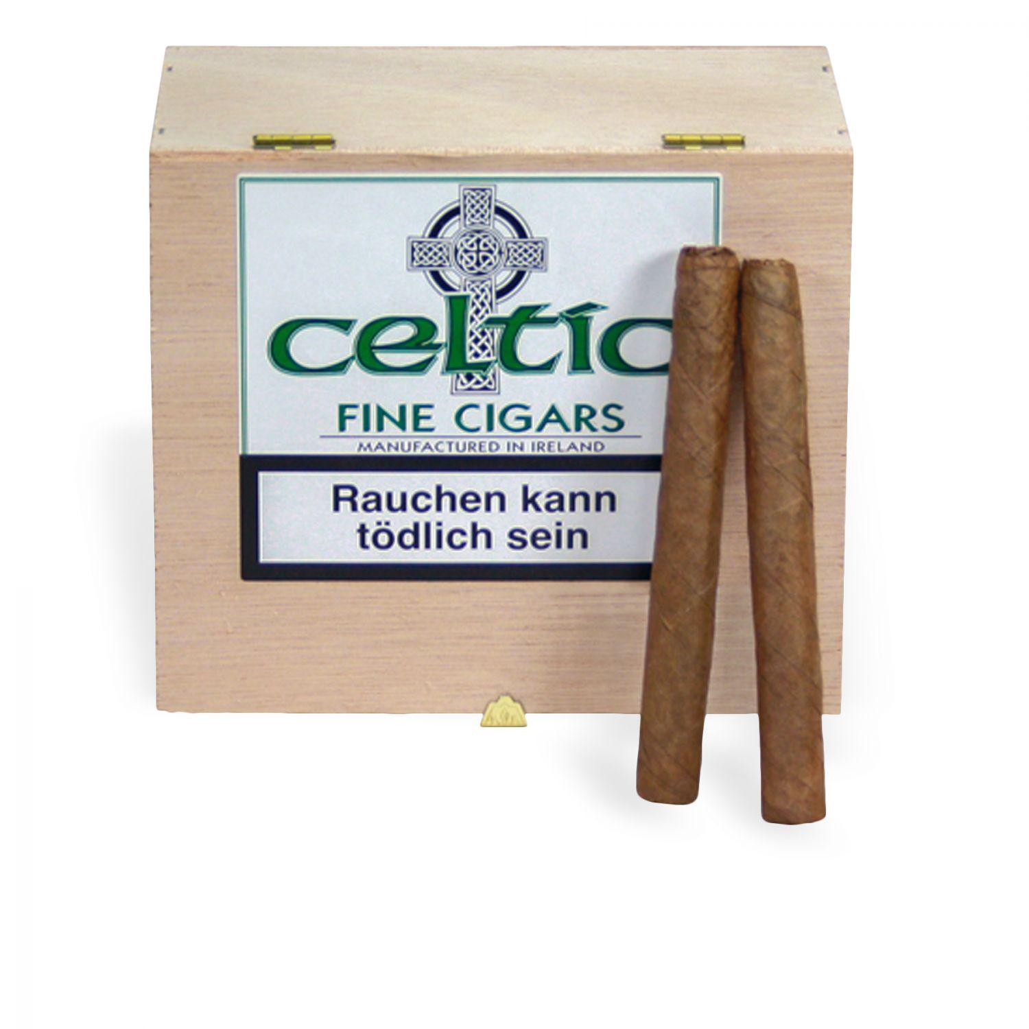 C05-150 Celtic Senoritas Sumatra 50er Kiste