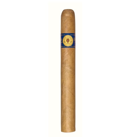 58831_santa_damiana_corona