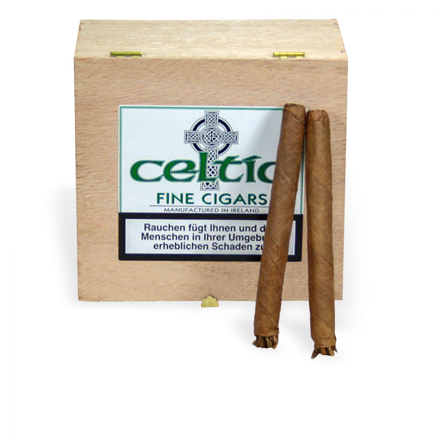 C05-152 Celtic Wilde Cigarros Sumatra 50er Kiste