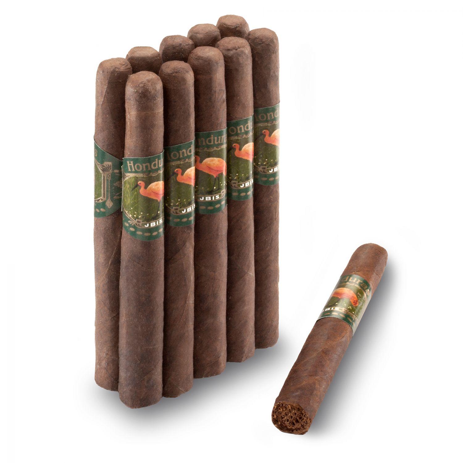 HC01-352_0 Ibis Honduran Long Filler »Petits« 10er